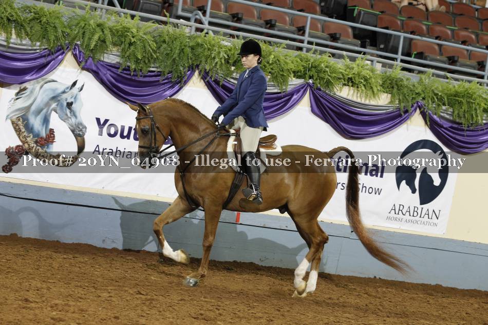 Proof 20YN_04908