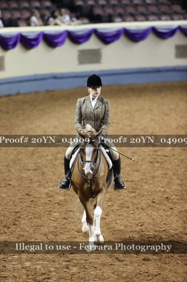 Proof 20YN_04909