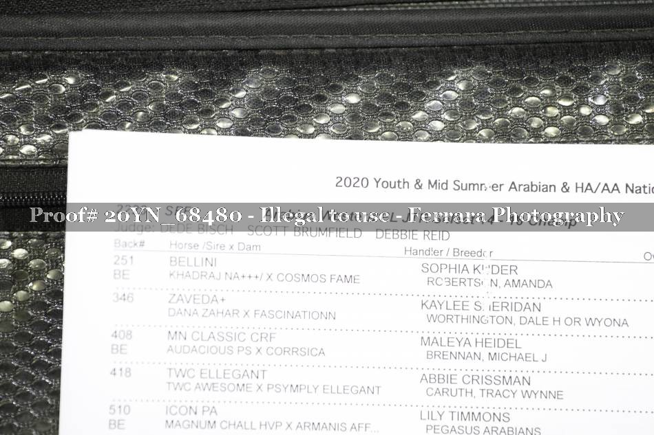 Proof 20YN_68480
