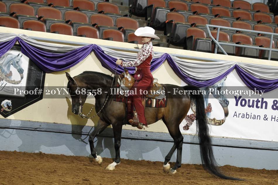 Proof 20YN_68558