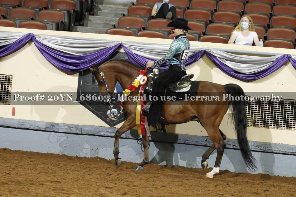 Proof 20YN_68603