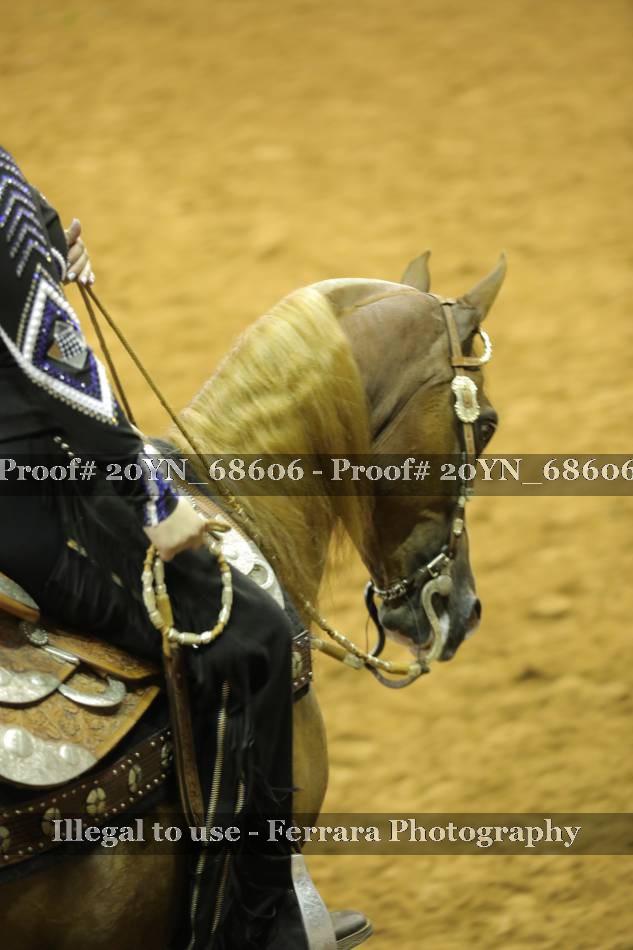 Proof 20YN_68606