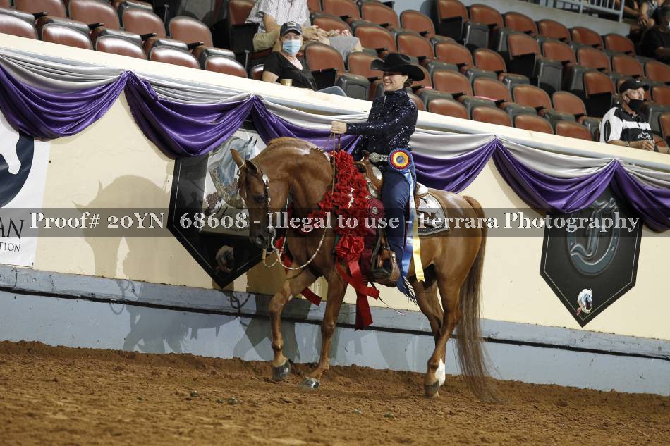Proof 20YN_68608