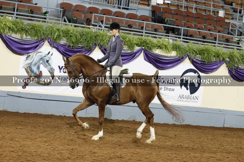 Proof 20YN_16906