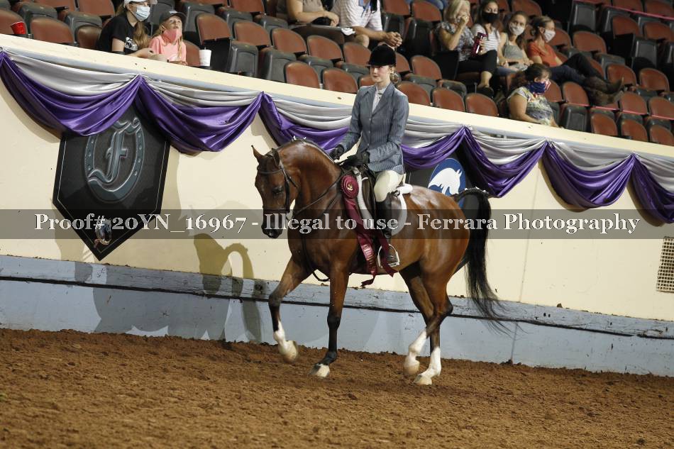 Proof 20YN_16967