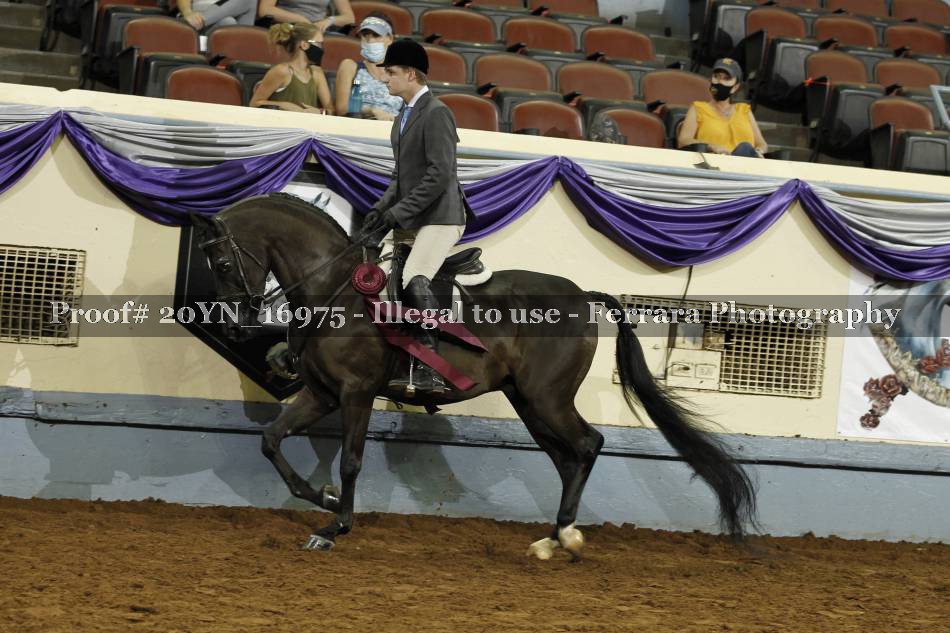 Proof 20YN_16975