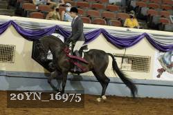 20YN_16975 proof