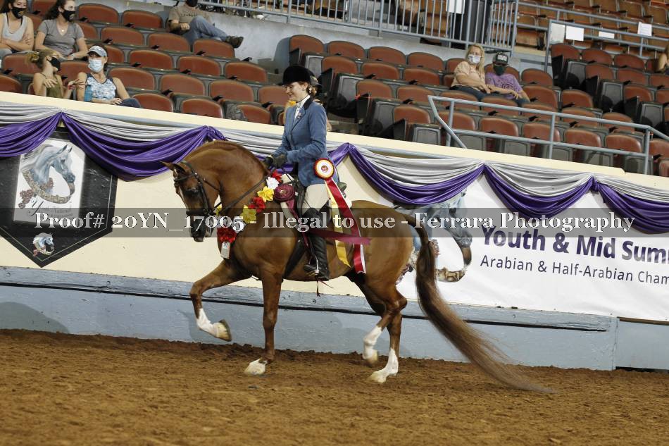 Proof 20YN_17005