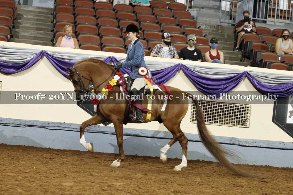 Proof 20YN_17006