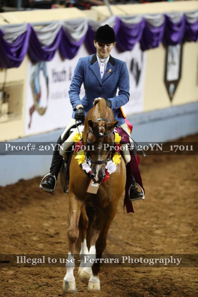 Proof 20YN_17011