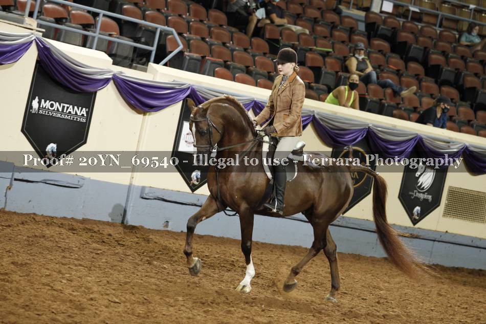 Proof 20YN_69540