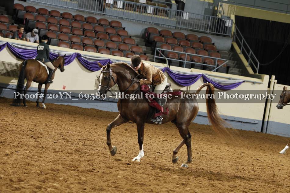 Proof 20YN_69589