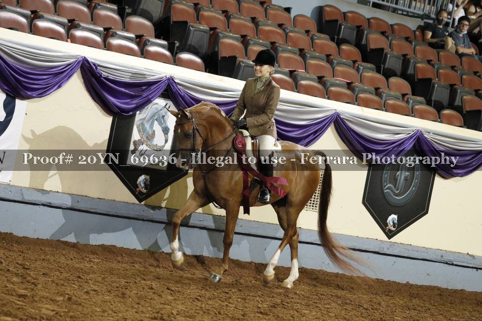 Proof 20YN_69636