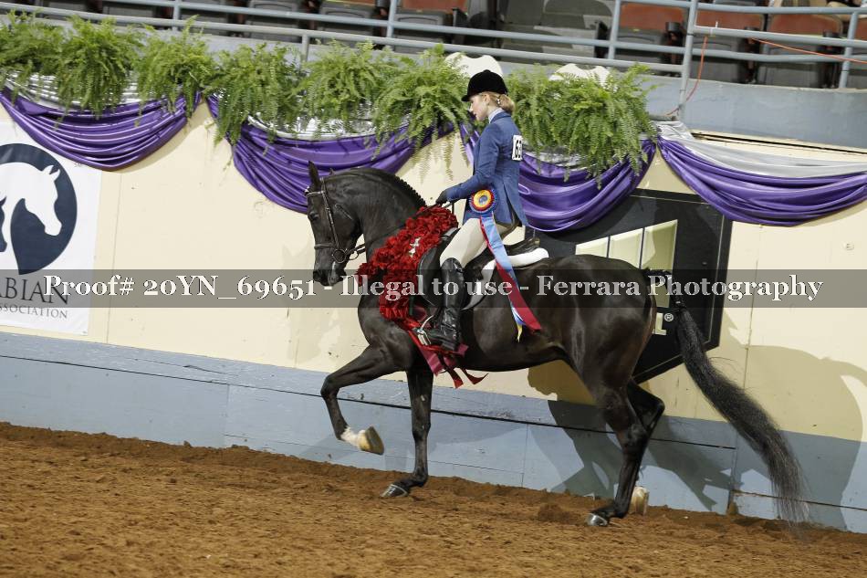 Proof 20YN_69651