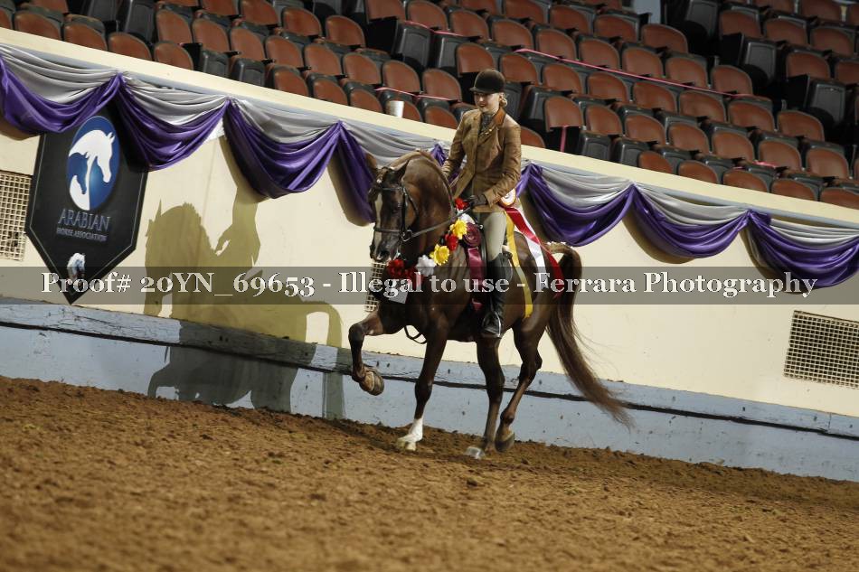 Proof 20YN_69653