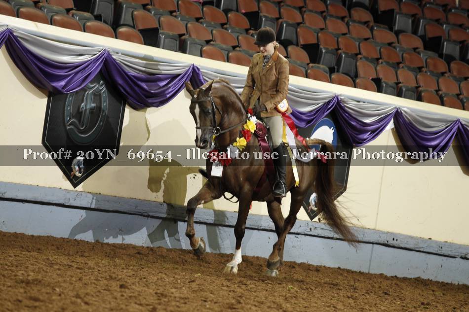 Proof 20YN_69654