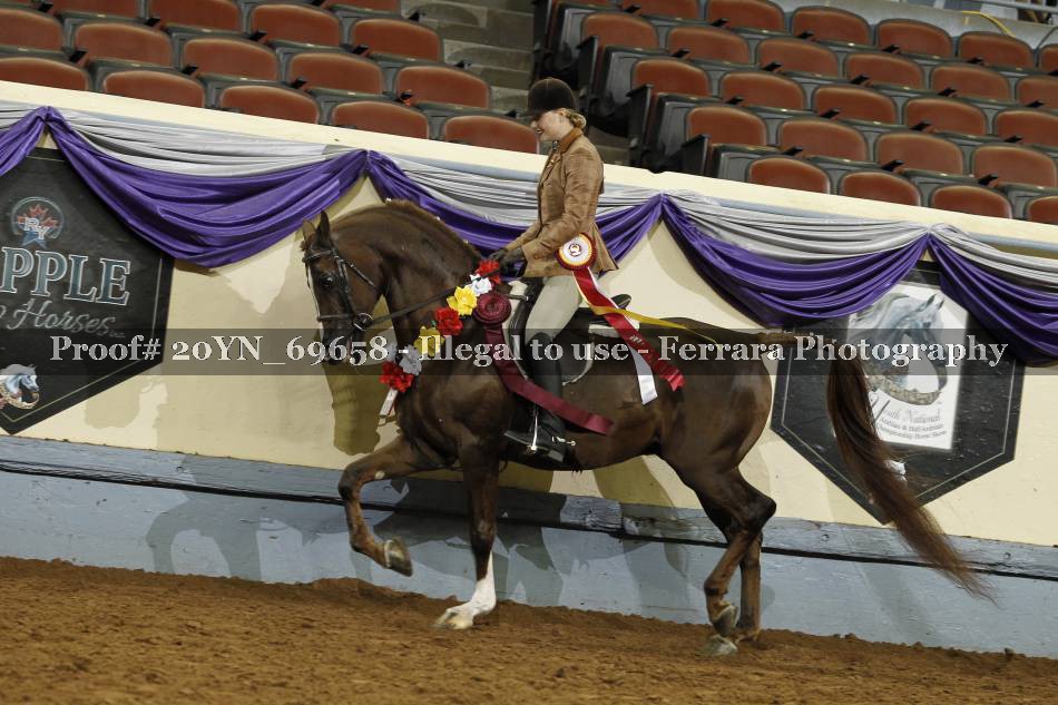 Proof 20YN_69658