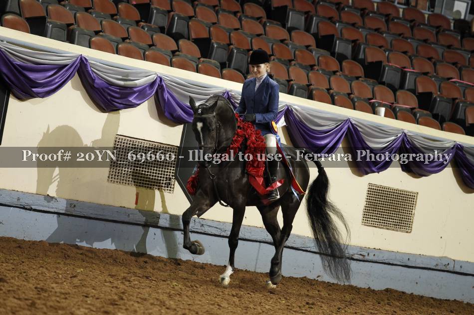Proof 20YN_69660