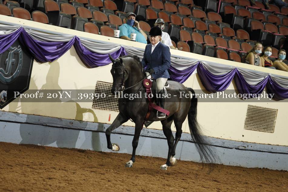 Proof 20YN_39390