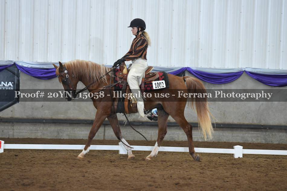 Proof 20YN_15058