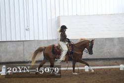 20YN_15079 proof