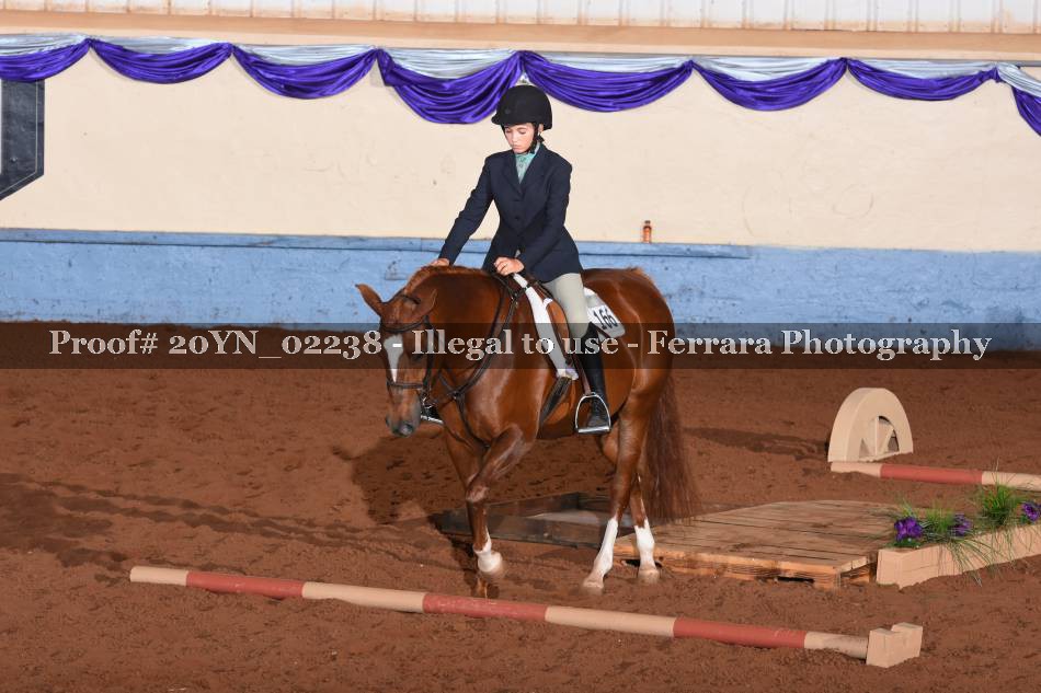 Proof 20YN_02238