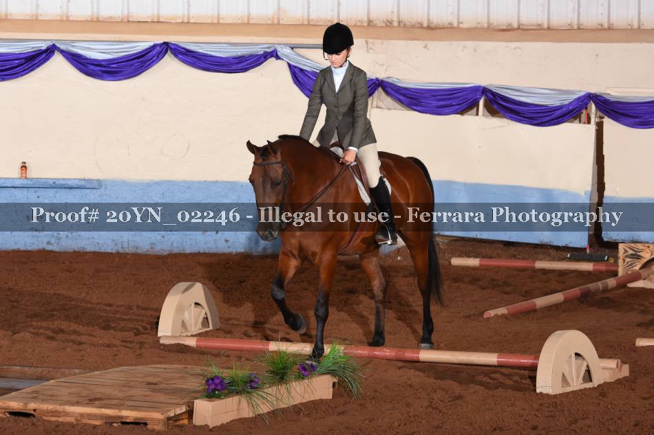 Proof 20YN_02246