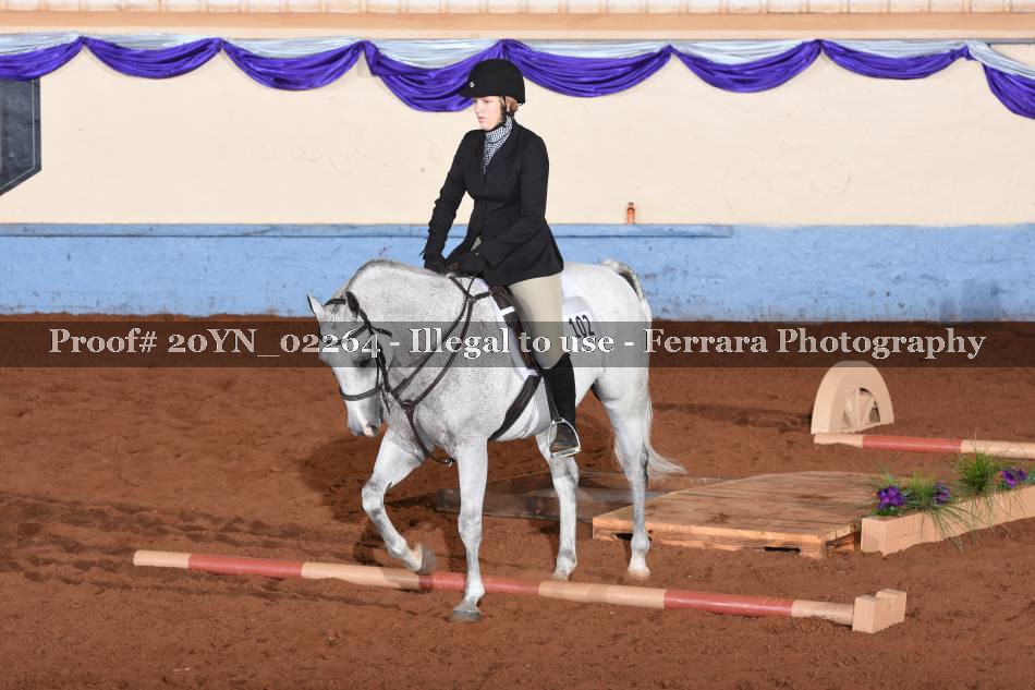 Proof 20YN_02264