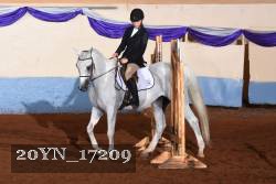 20YN_17209 proof