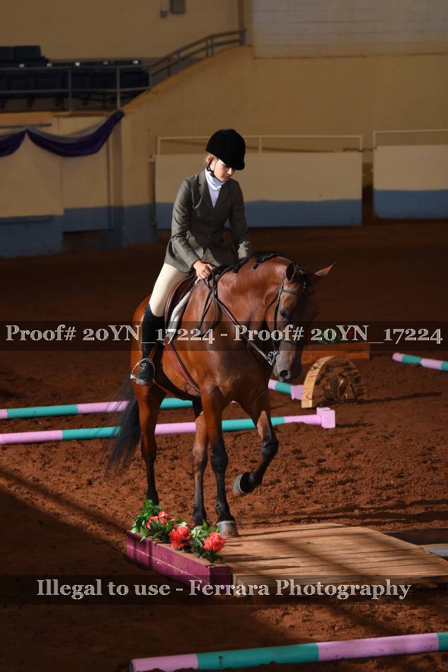 Proof 20YN_17224