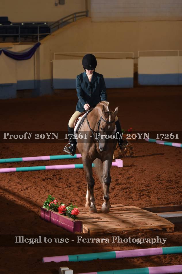 Proof 20YN_17261