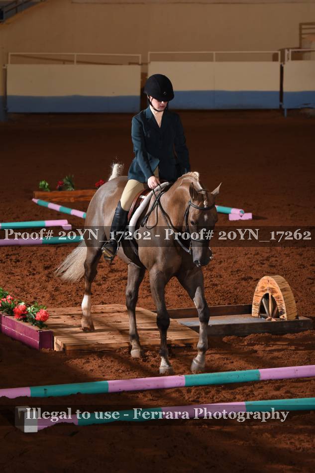 Proof 20YN_17262