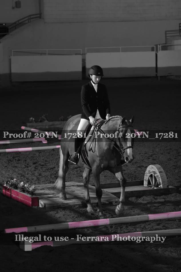 Proof 20YN_17281