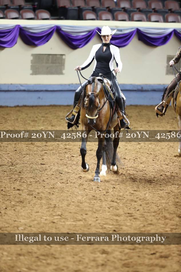 Proof 20YN_42586