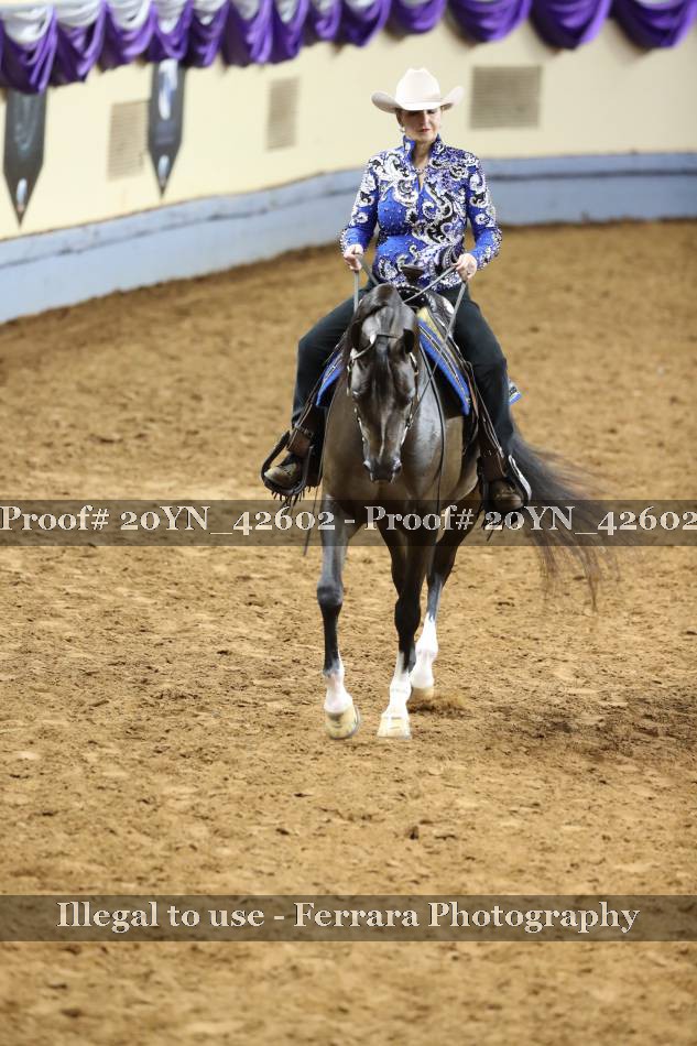 Proof 20YN_42602