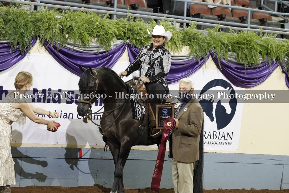 Proof 20YN_42690