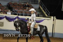 20YN_42739 proof