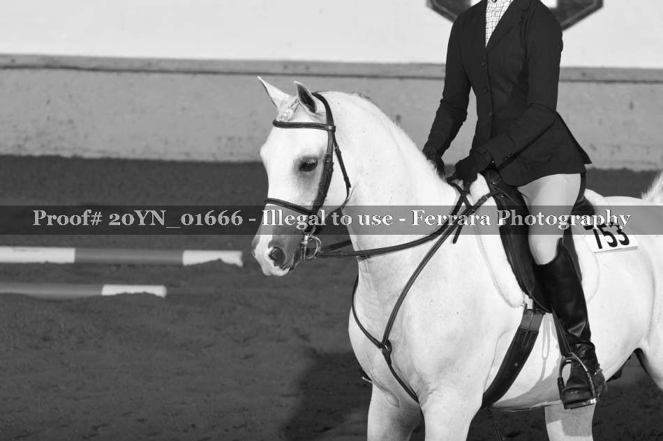 Proof 20YN_01666
