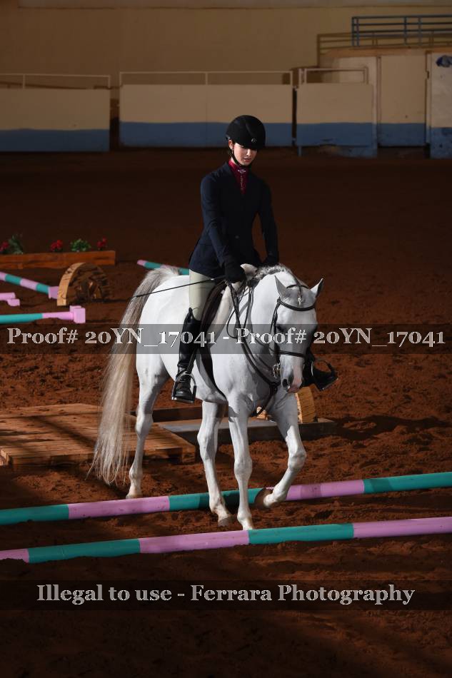 Proof 20YN_17041