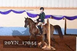 20YN_17044 proof