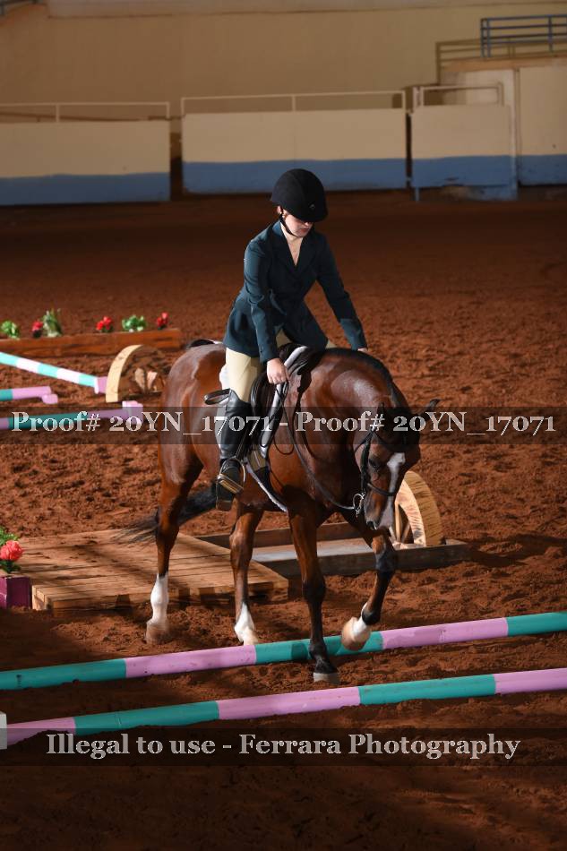 Proof 20YN_17071