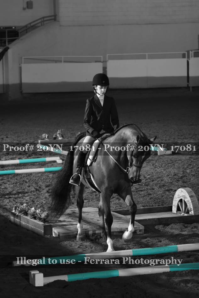 Proof 20YN_17081