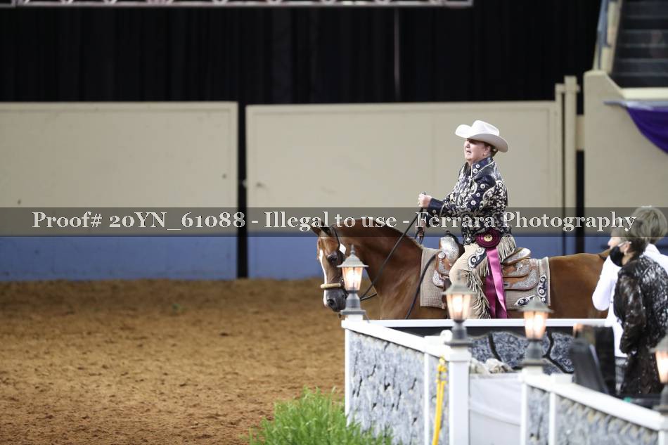 Proof 20YN_61088
