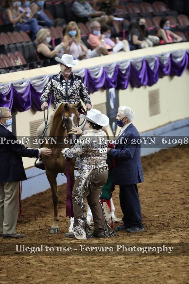 Proof 20YN_61098