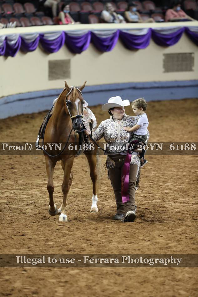 Proof 20YN_61188