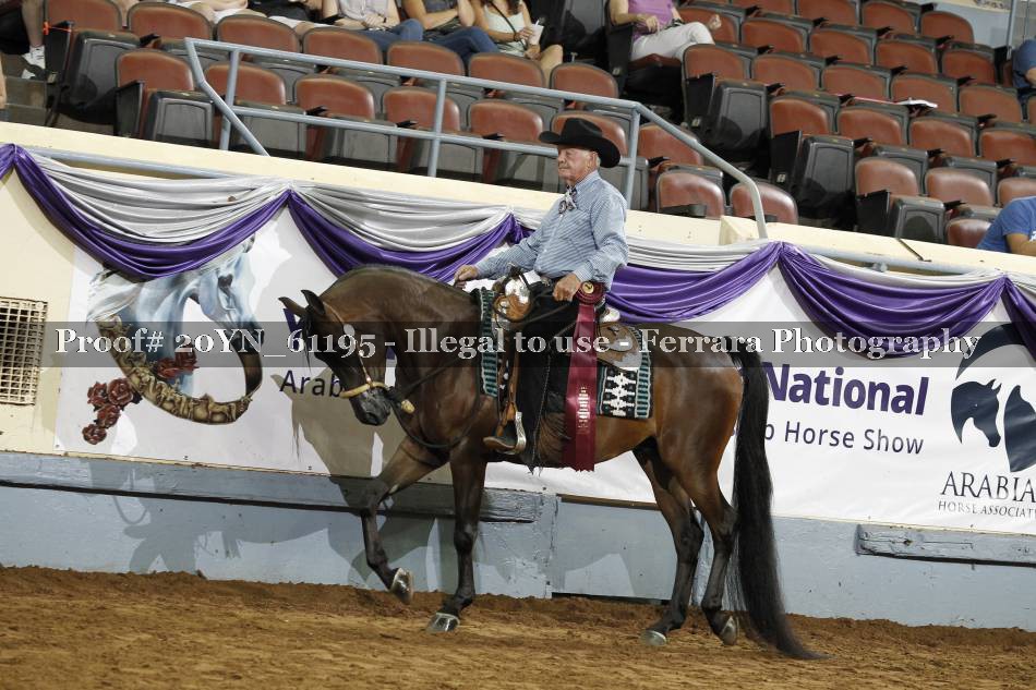 Proof 20YN_61195