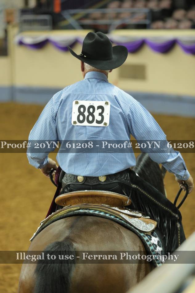 Proof 20YN_61208