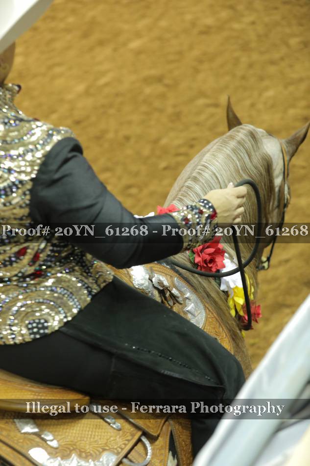 Proof 20YN_61268