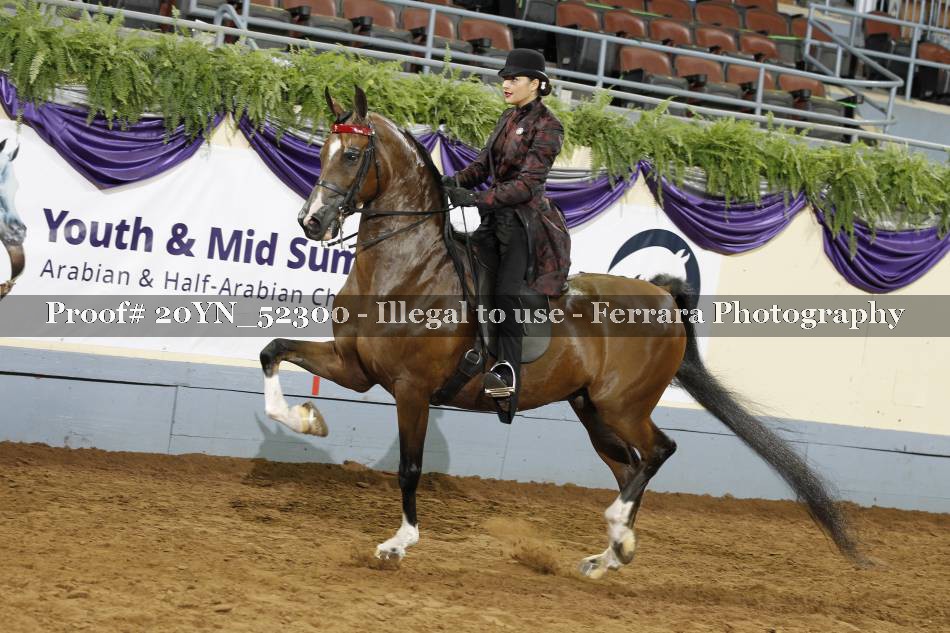 Proof 20YN_52300