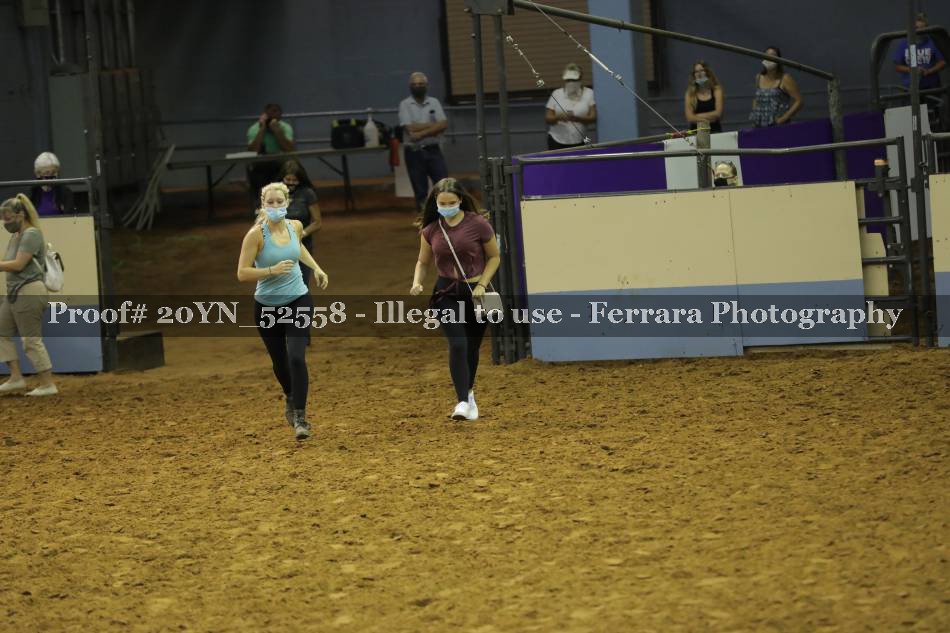 Proof 20YN_52558